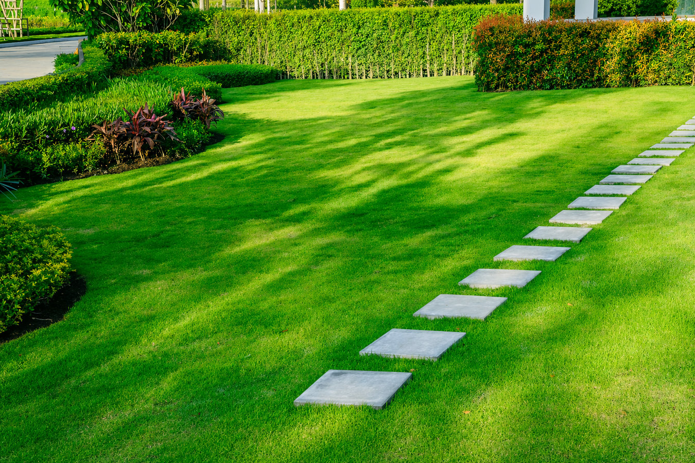 Turf maintenance services in Santa Cruz, CA